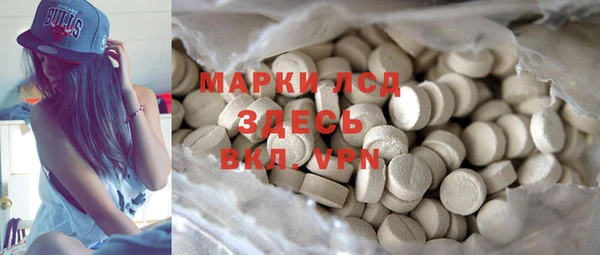 прущие грибы Алексеевка