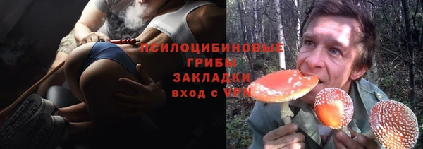 Альфа ПВП Абаза