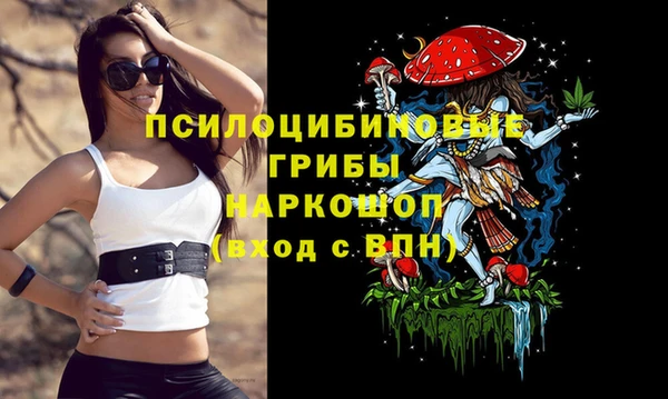 прущие грибы Алексеевка